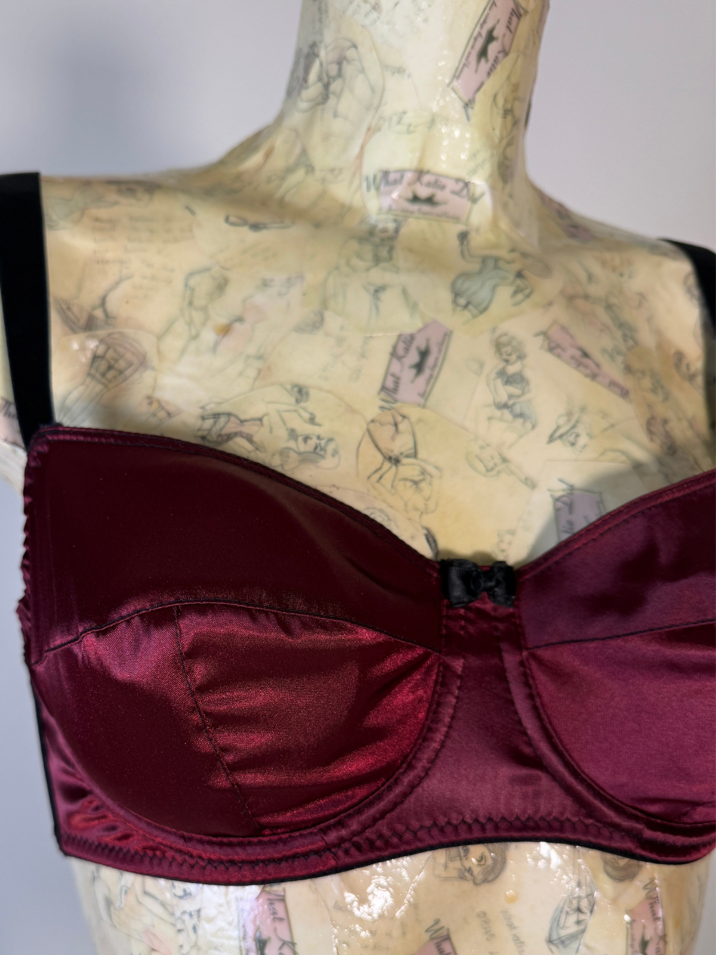 AL247 Obsession Satine Bra 34C