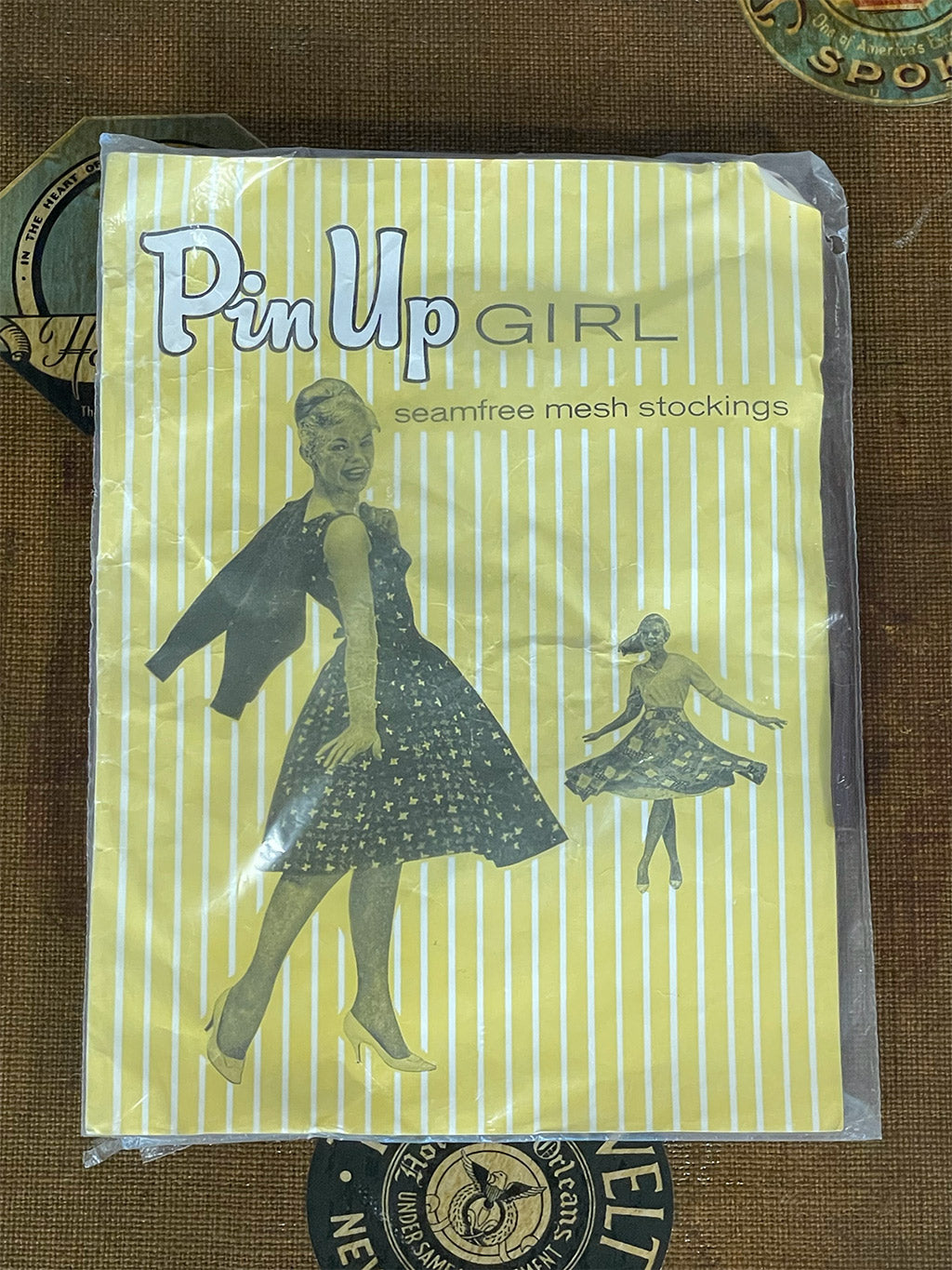 Vintage Pin Up Girl Seamfree Mesh Stockings front