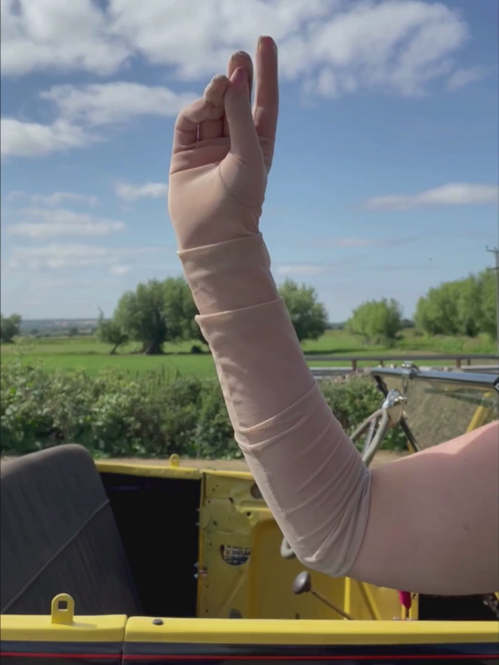 Long Champagne Sheer Gloves A2016C