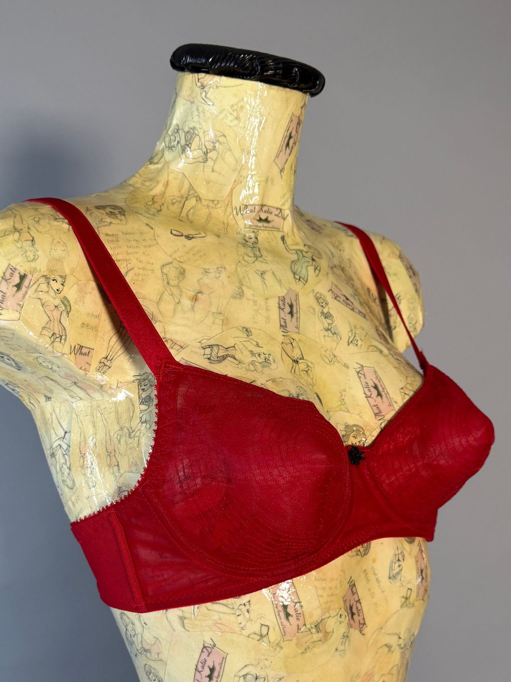 AL31 Sheer Red Whirlpool Bra 32C