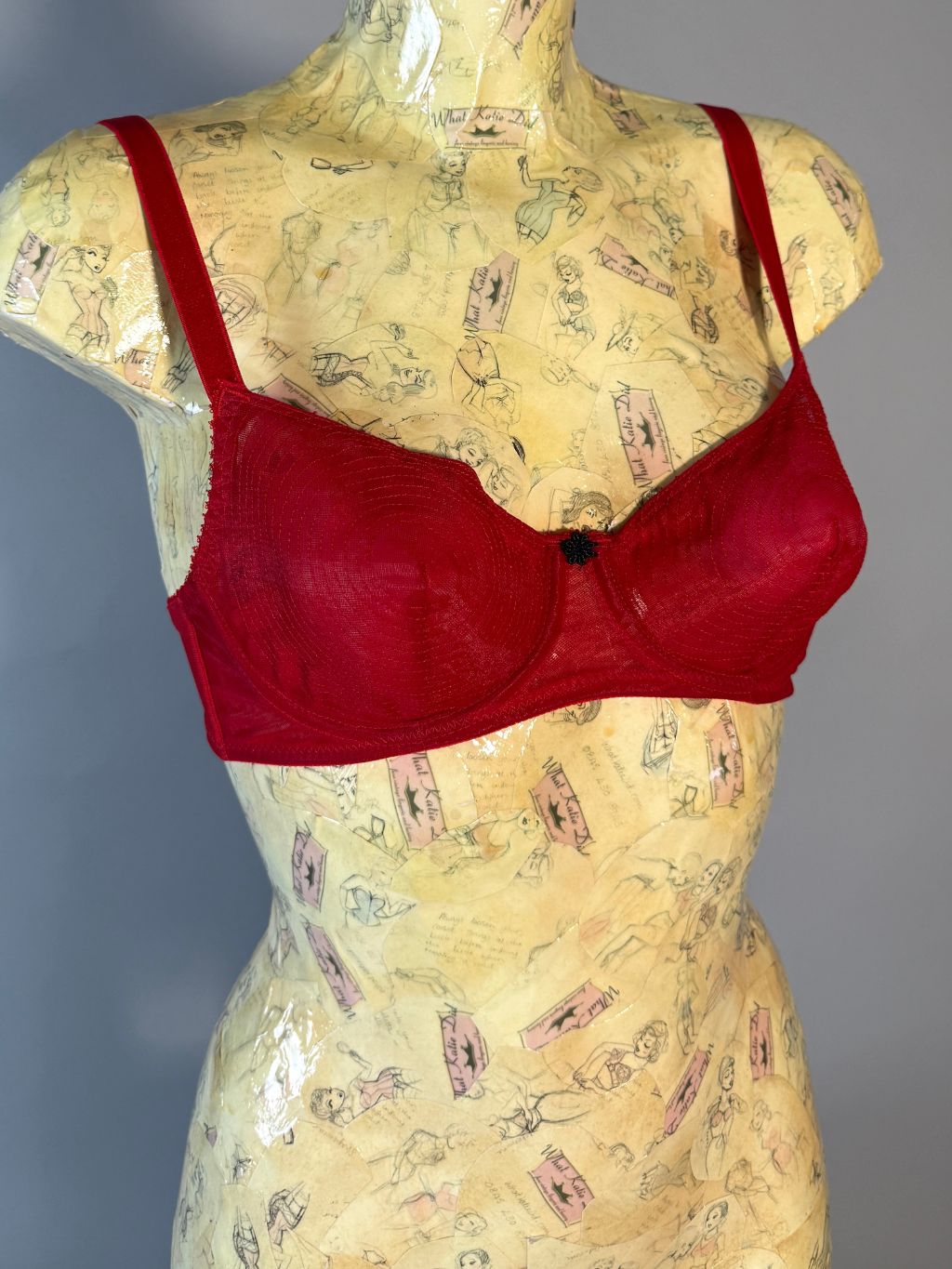 AL31 Sheer Red Whirlpool Bra 32C