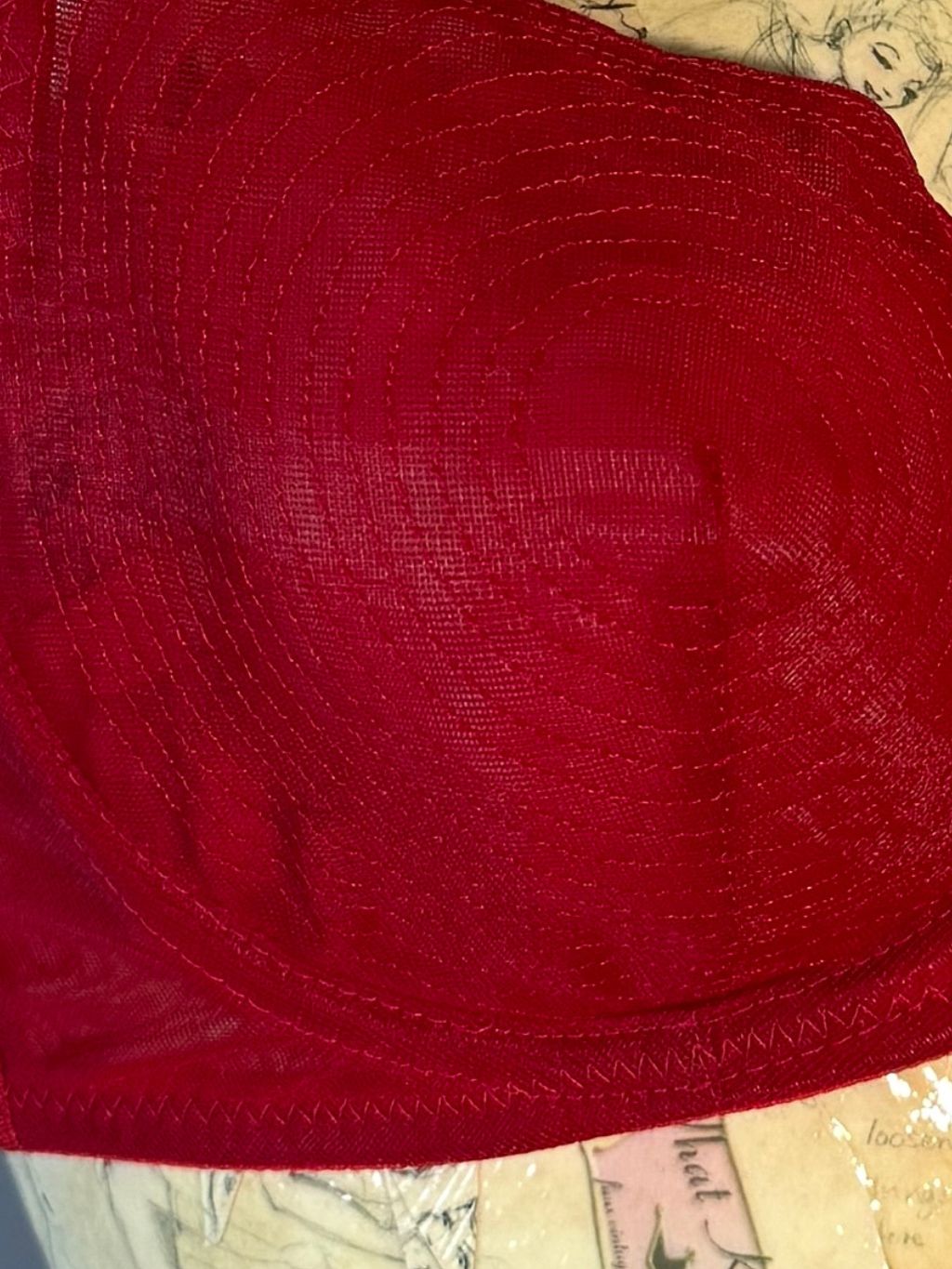 AL31 Sheer Red Whirlpool Bra 32C